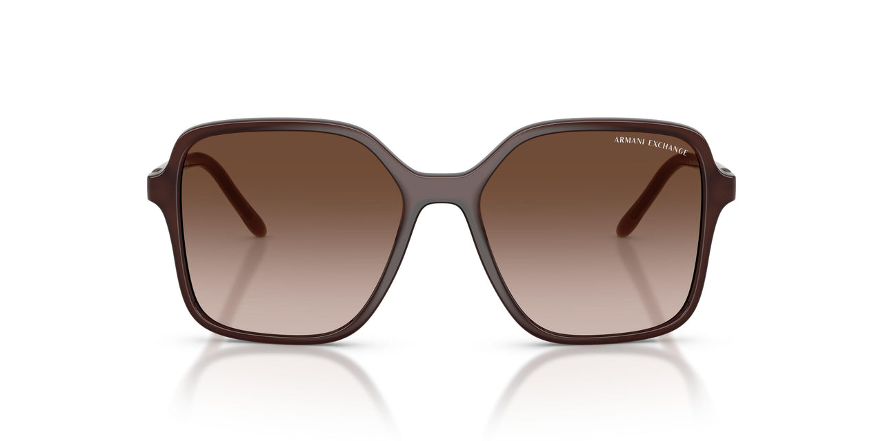 839613 - Brown - Brown Gradient