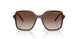 839613 - Brown - Brown Gradient