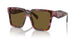 18N01T - Brown - Dark Brown