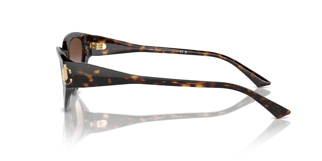 500213 - Tortoise - Gradient Brown
