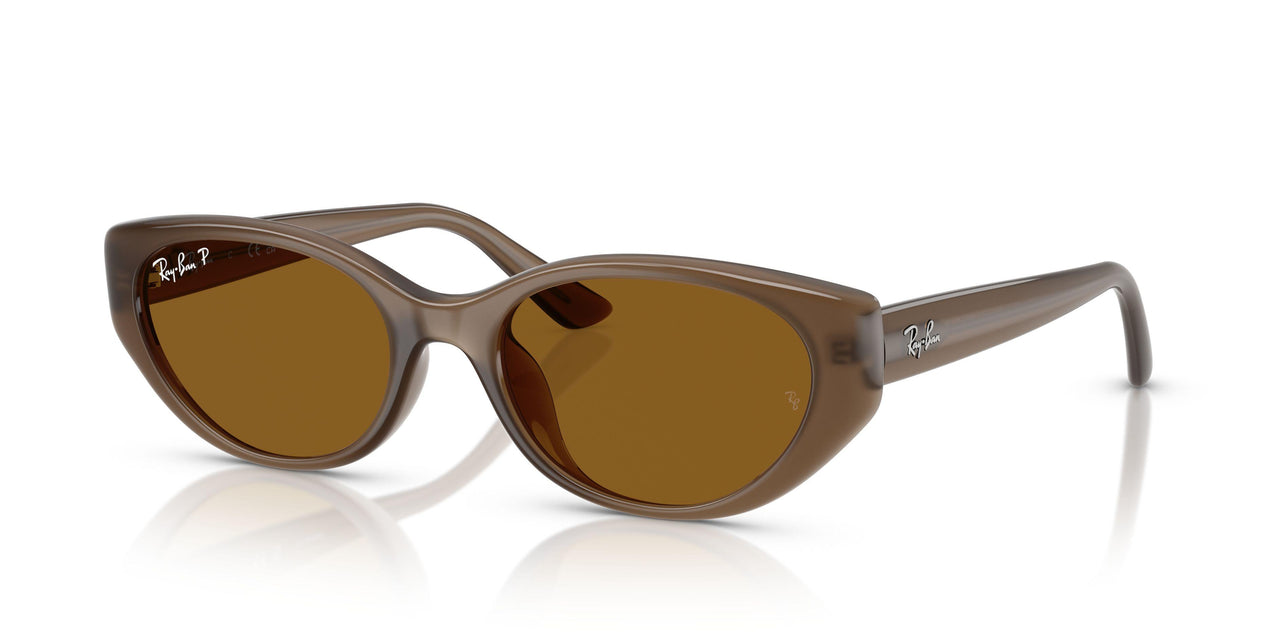 677983 - Brown - Dark Brown - Polar