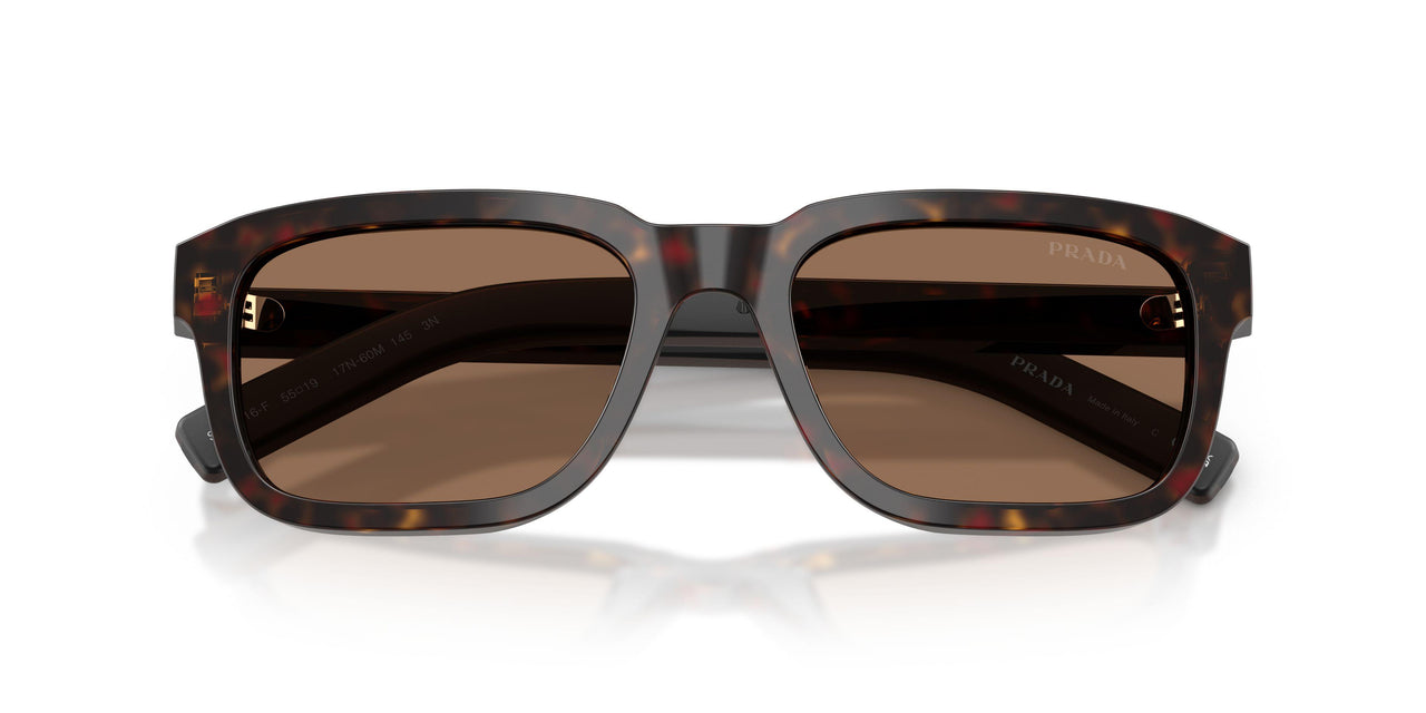 17N60M - Tortoise - Dark Brown
