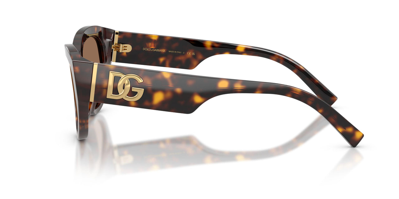 502/73 - Tortoise - Dark Brown
