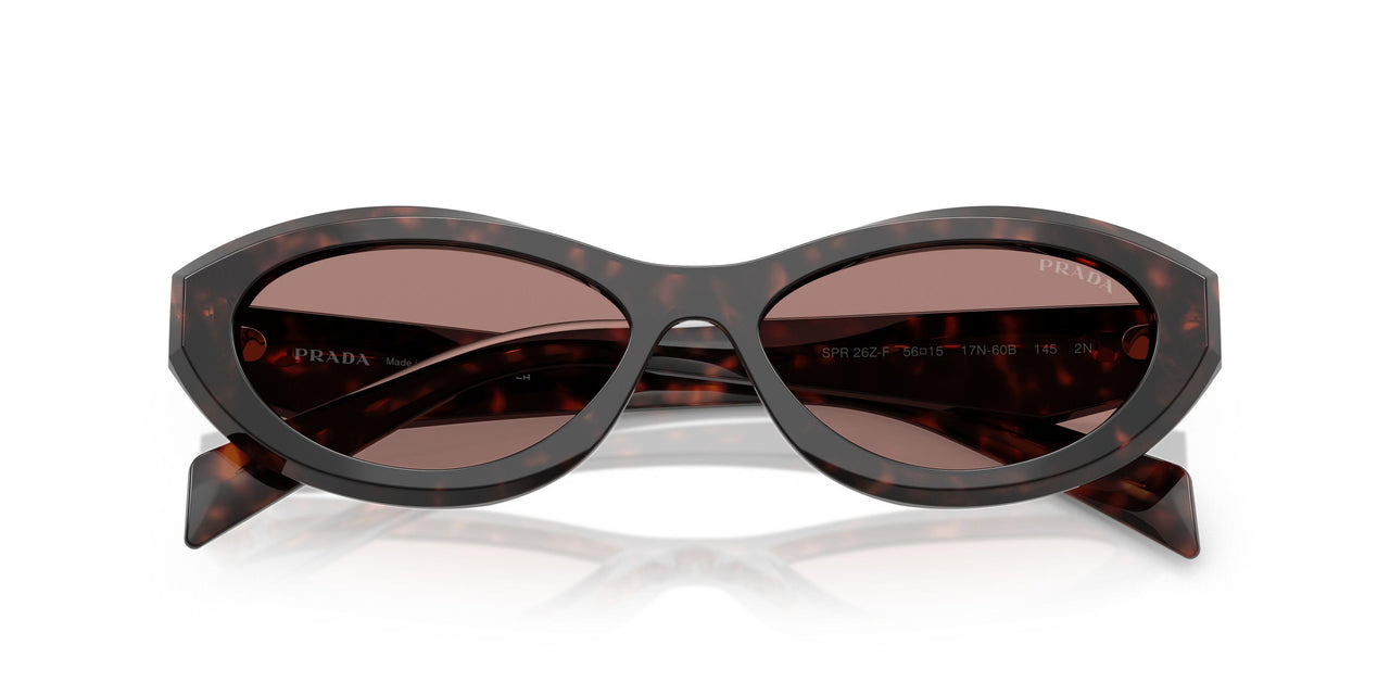 17N60B - Tortoise - Light Brown