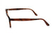 43 - HAVANA BROWN