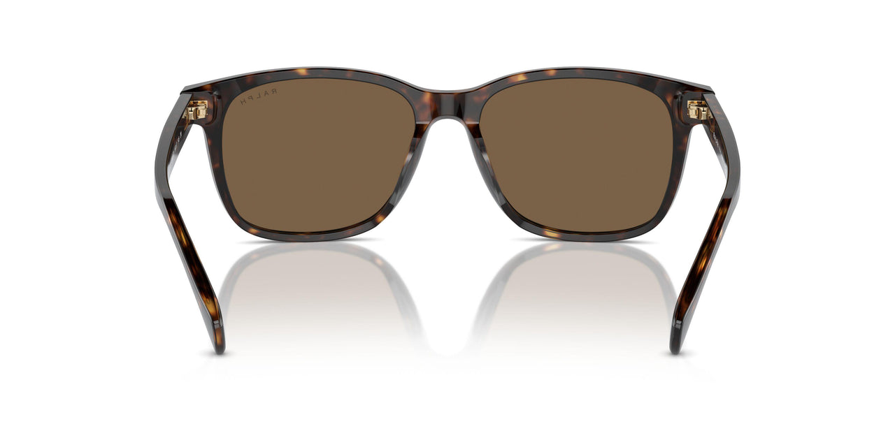 500373 - Brown - Brown