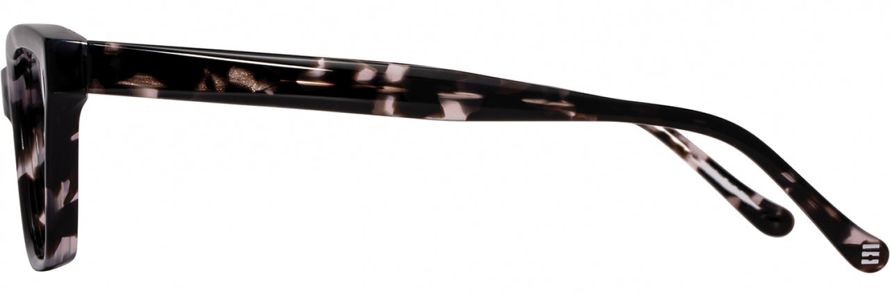 2 - Ebony Tortoise