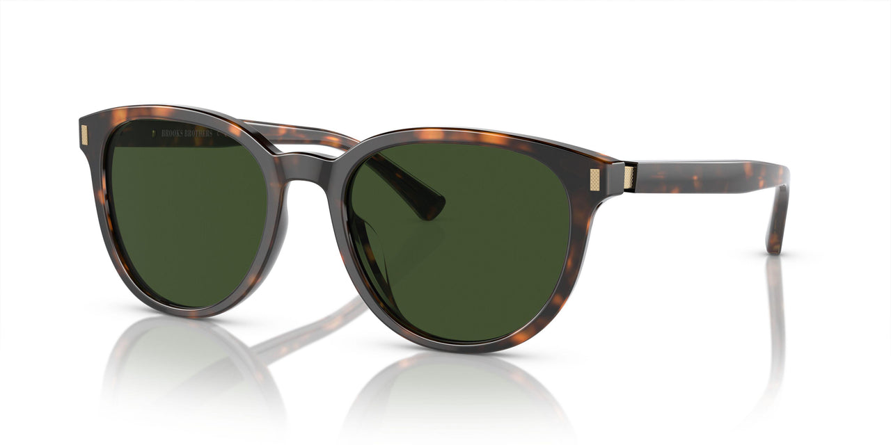 616171 - Tortoise - Solid Dark Green