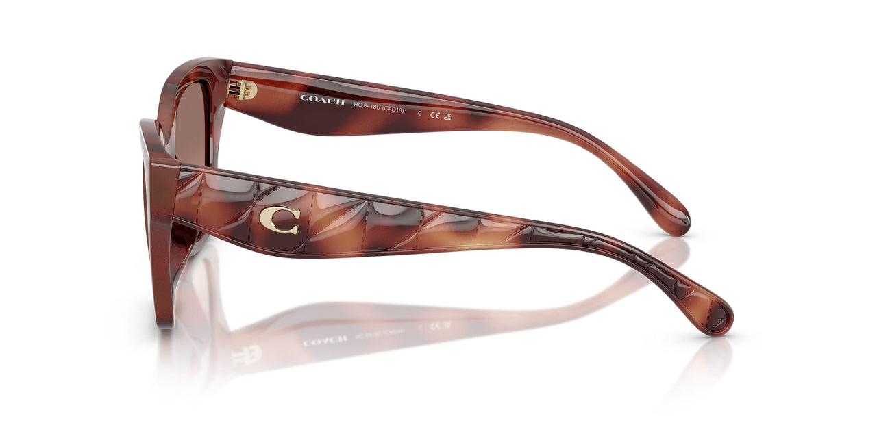 577413 - Tortoise - Brown Pink Gradient