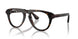 3002 - Brown