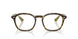 8487 - Tortoise - Clear