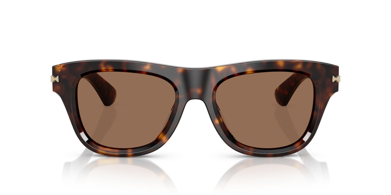 300273 - Brown - Dark Brown