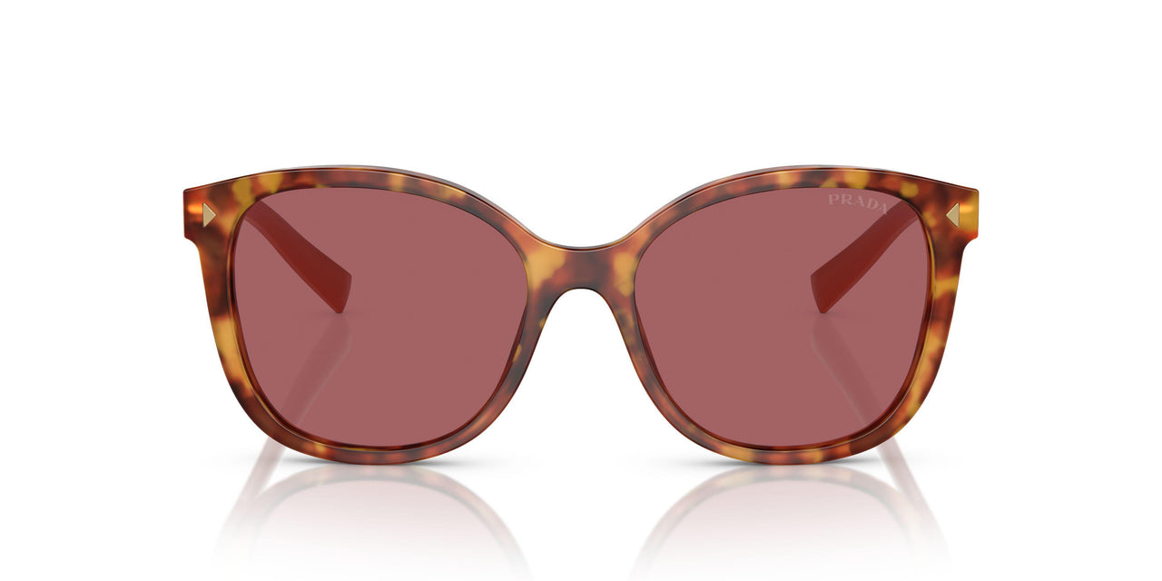 4BW08S - Tortoise - Dark Violet