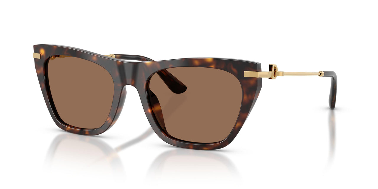 502/73 - Tortoise - Dark Brown