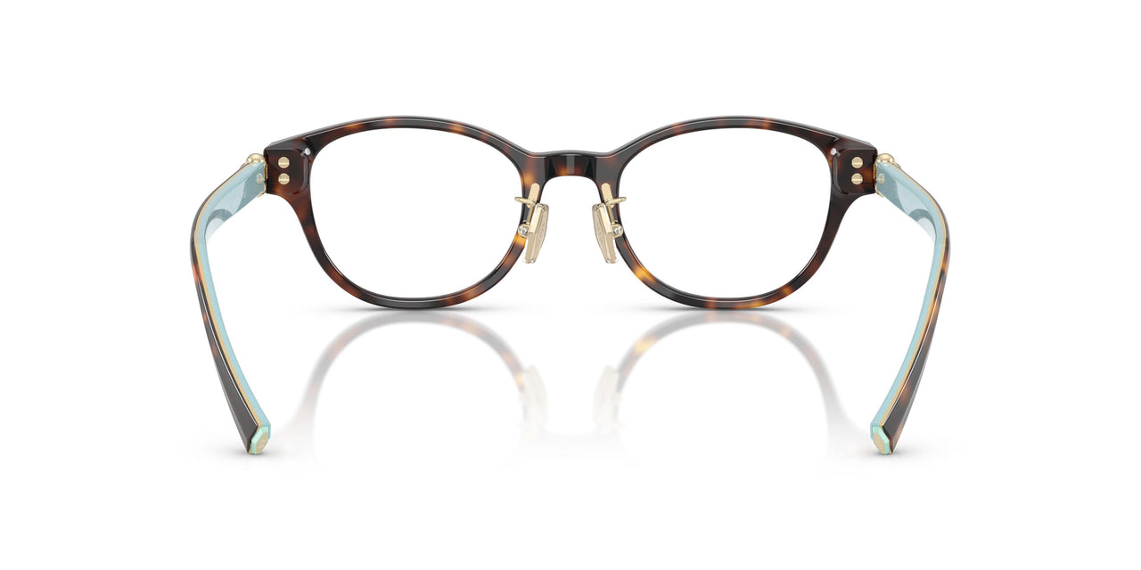 8015 - Tortoise