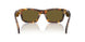 14L09Z - Tortoise - Dark Brown