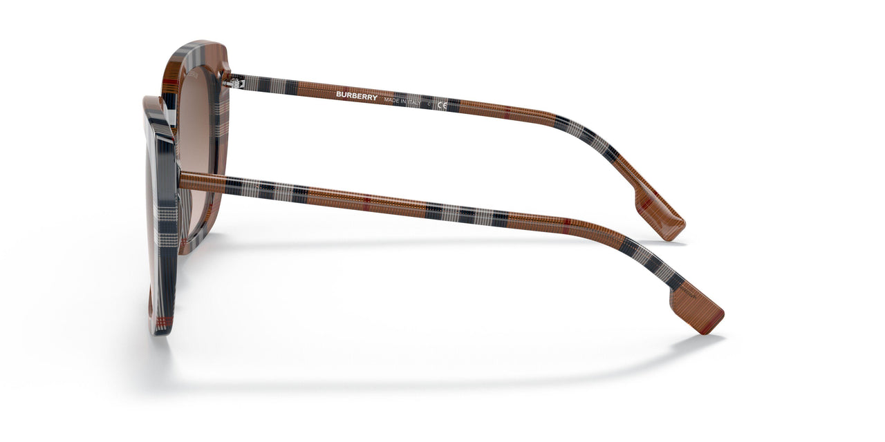 400513 - Brown - Gradient Brown