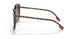 400513 - Brown - Gradient Brown