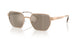 10145A - Gold - Brown