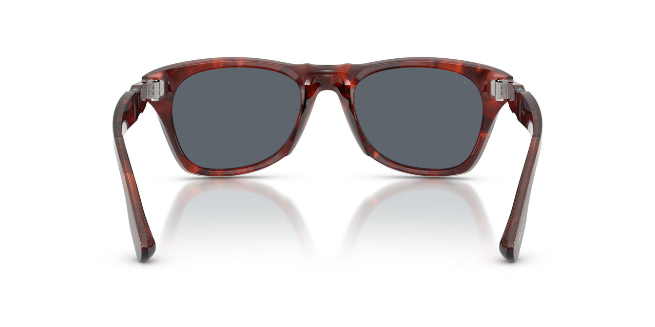 1242R5 - Tortoise - Blue