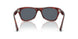 1242R5 - Tortoise - Blue