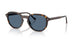 W65680 - Brown - Dark Blue