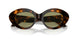 599314 - Tortoise - Green