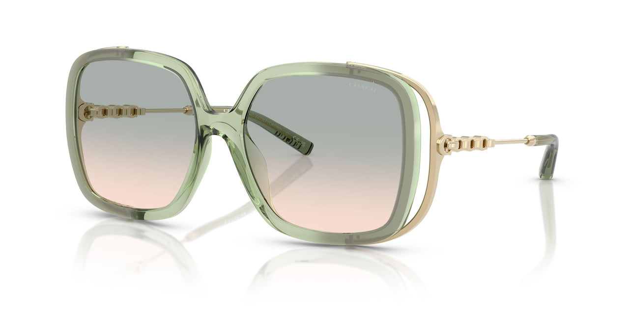 58902C - Grey - Green Peach Gradient