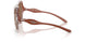 203373 - Clear - Dark Brown