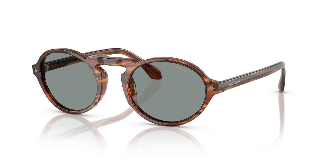616256 - Tortoise - Blue