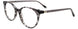 90 - Black Tortoise & Black