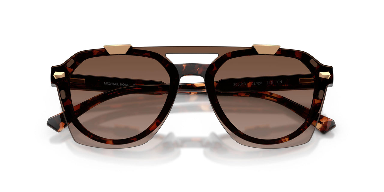 300613 - Tortoise - Smoke Gradient