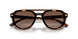 300613 - Tortoise - Smoke Gradient