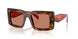 01K90Q - Tortoise - Brown