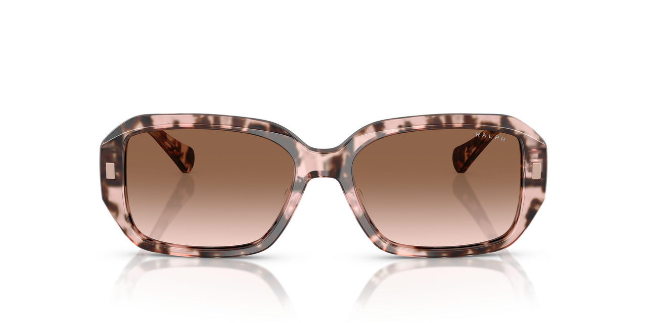 605813 - Pink - Gradient Brown