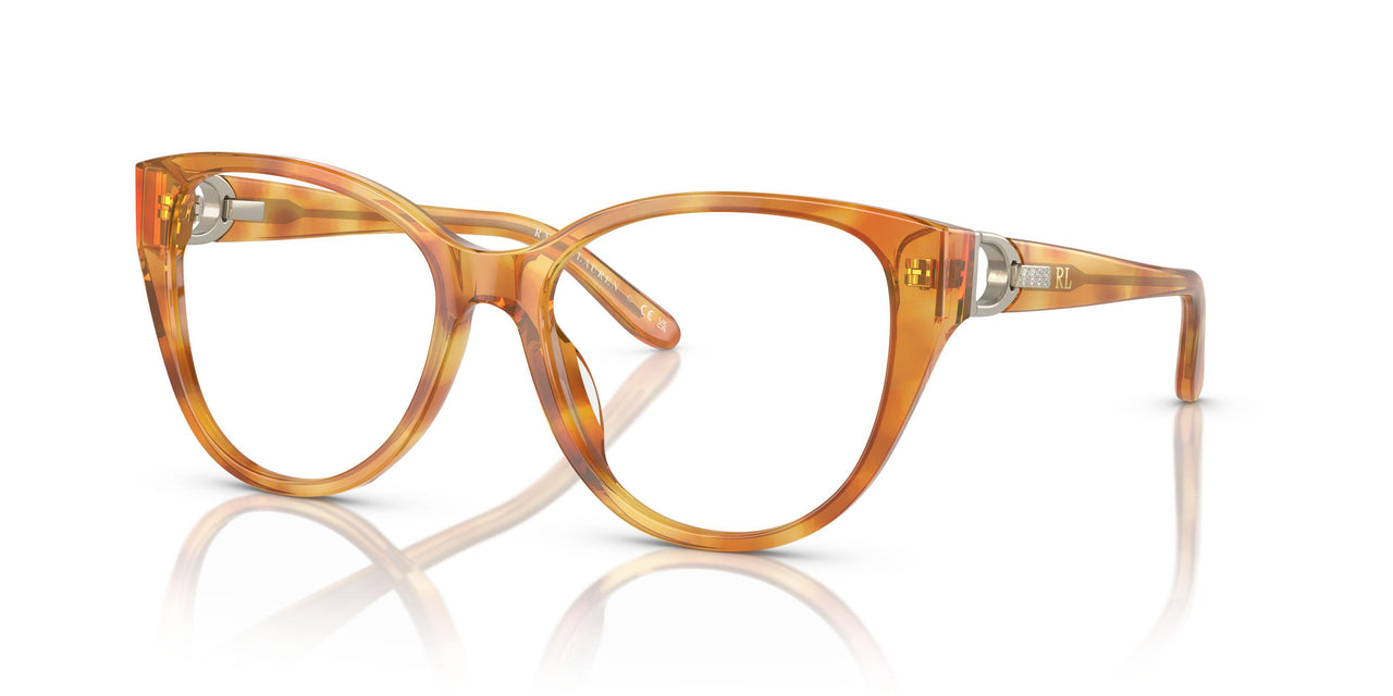 6051 - Tortoise