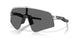 946539 - Transparent - Clear To Black Iridium Photochromic