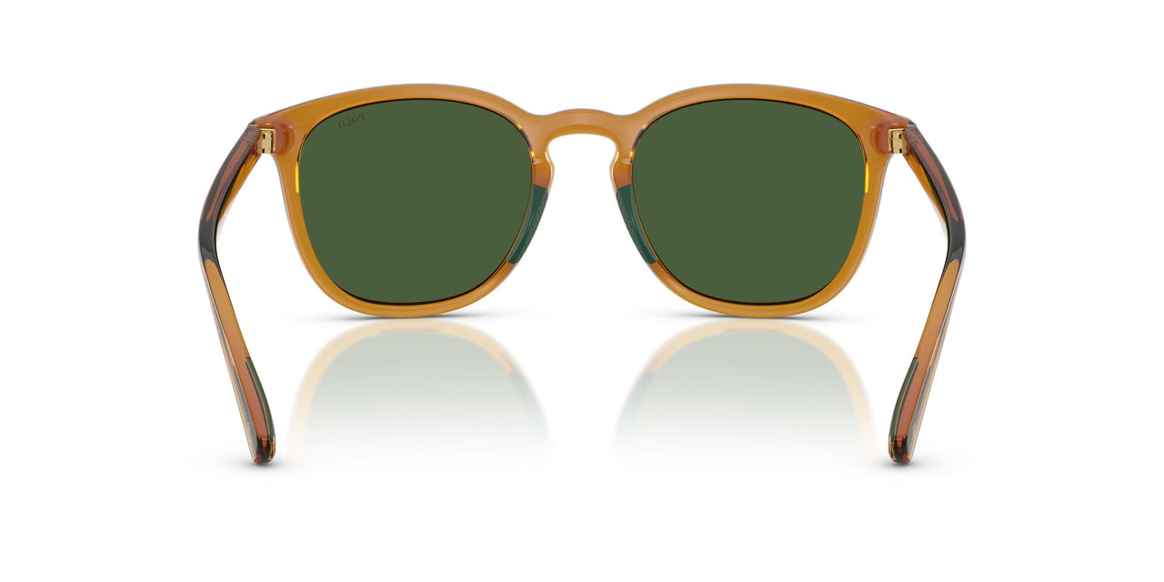 620971 - Yellow - Bottle Green