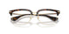 3002 - Brown