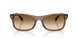 664051 - Brown - Clear Gradient Brown