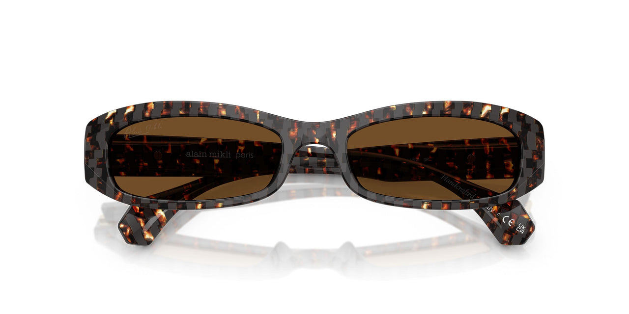 004/57 - Tortoise - Polar Brown