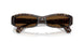 004/57 - Tortoise - Polar Brown