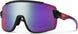 Smith Optics Sport & Performance 201516 Wildcat Sunglasses