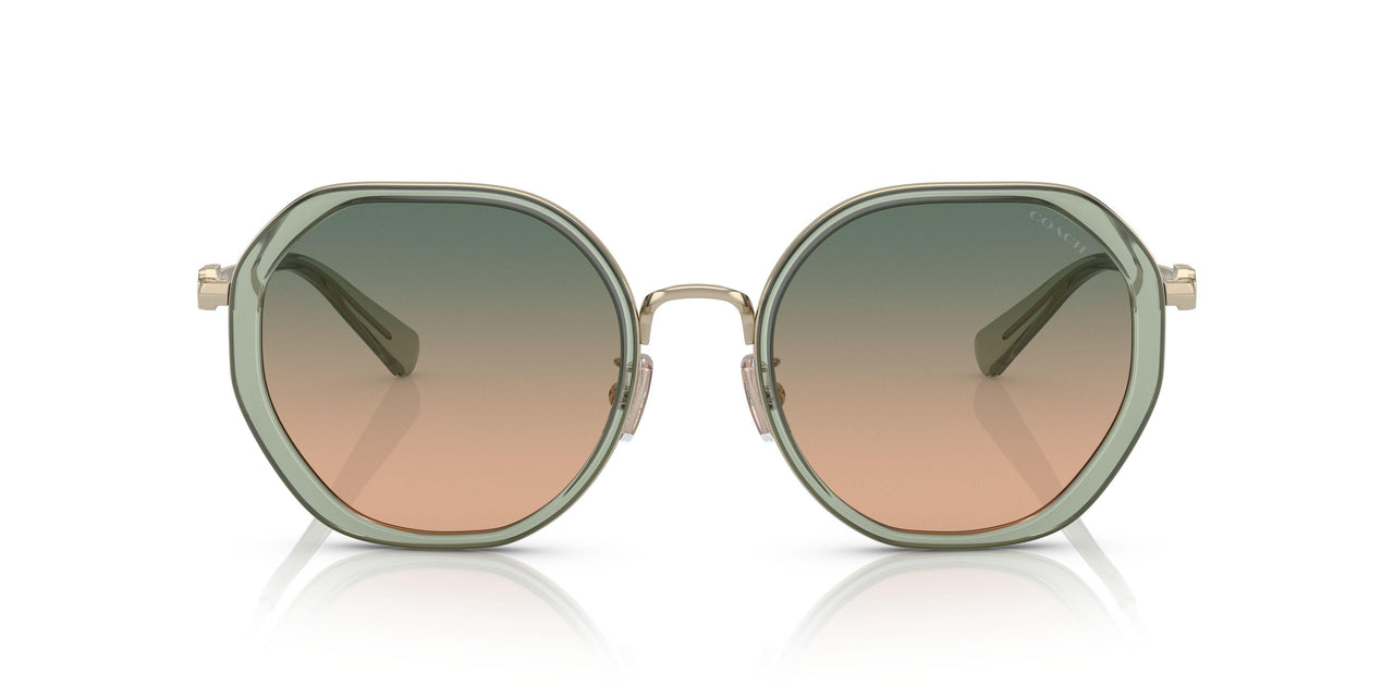 900513 - Green - Green Brown Gradient