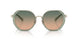 900513 - Green - Green Brown Gradient