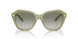 61168E - Green - Gradient Green
