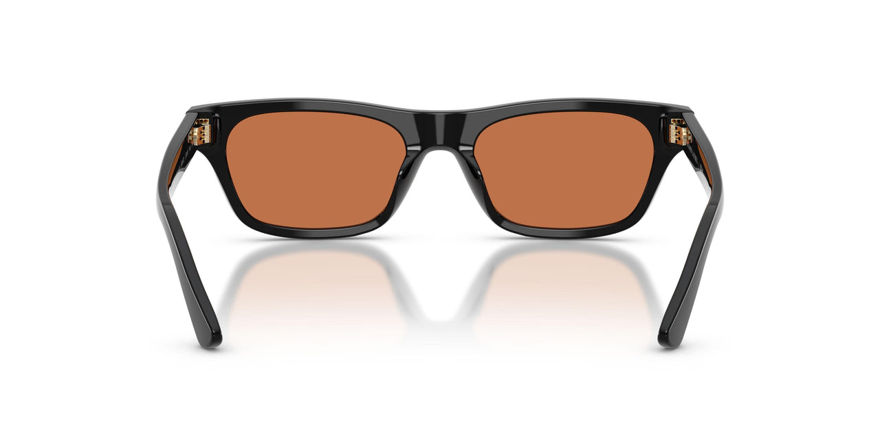 500173 - Black - Brown