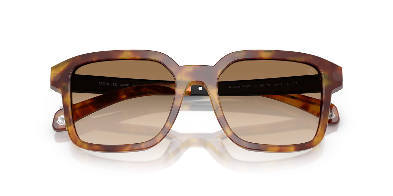 301189 - Tortoise - Light Brown Gradient Brown