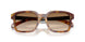 301189 - Tortoise - Light Brown Gradient Brown