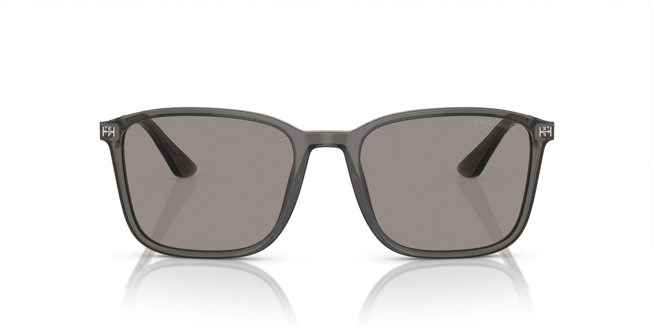 6036M3 - Grey - Photocromatic Grey
